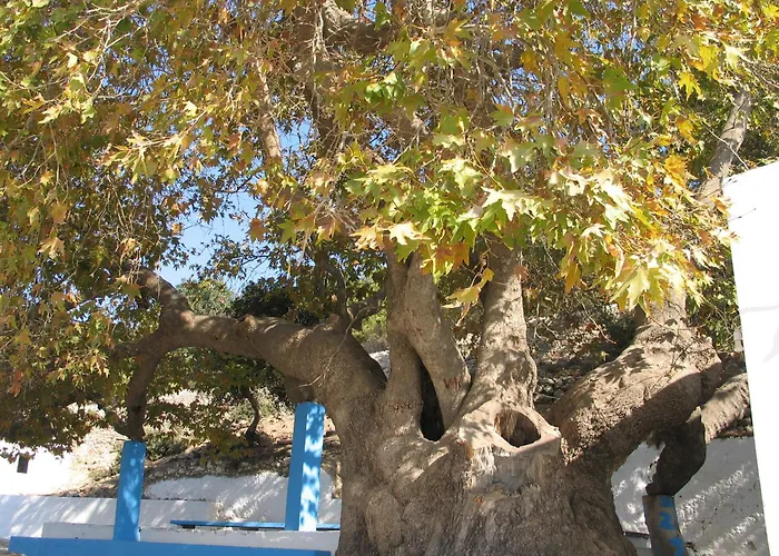 Apartmán Dionysia *