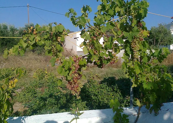 Dionysia Apartmán *