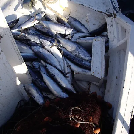 Апартаменты Dionysia Кефалос