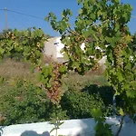 Dionysia Apartament *