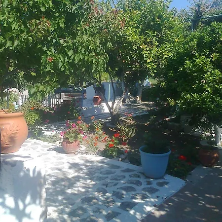 Dionysia Apartamento Kéfalos