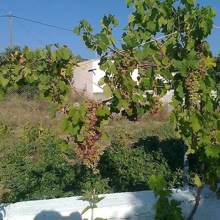 Dionysia Apartmán *