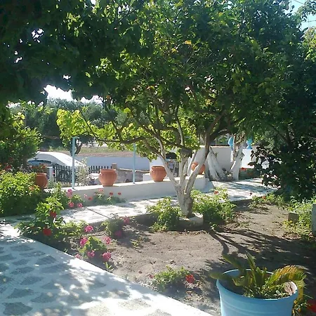 Lägenhet Dionysia Kéfalos