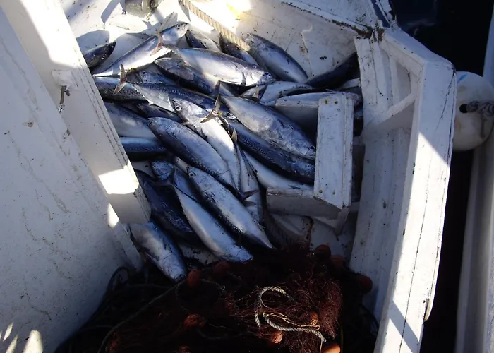 شقة Dionysia Kéfalos