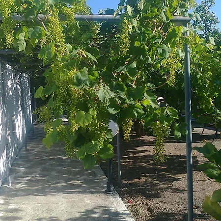 Dionysia Apartment *