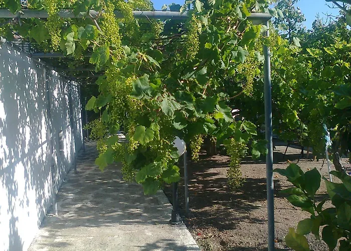 Dionysia 아파트 *